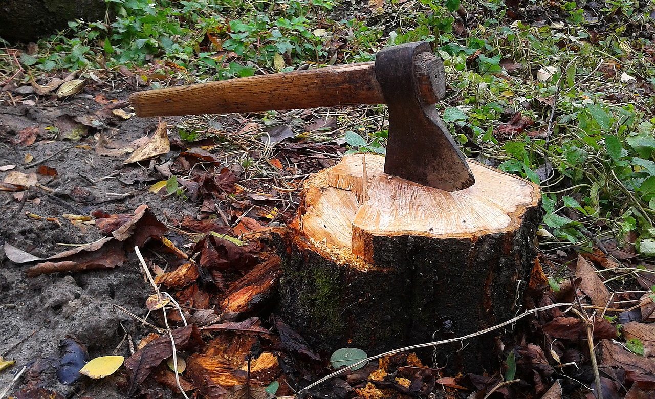 axe-497181_1280