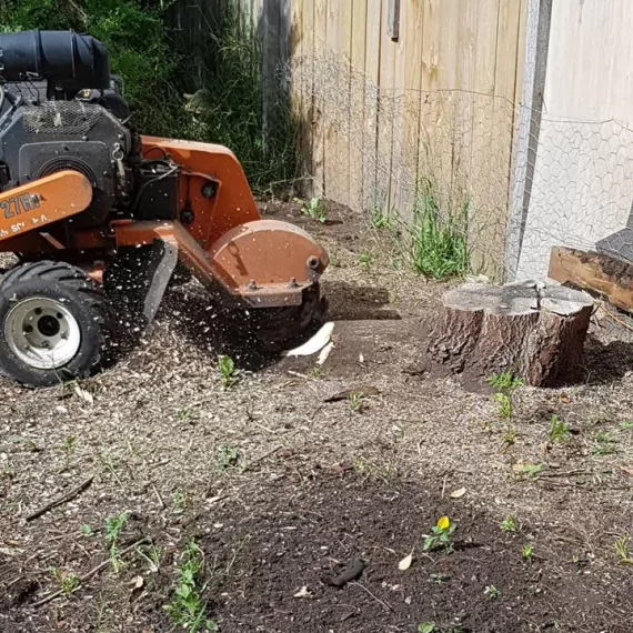 stump-grinding-mornington-peninsula.jpg